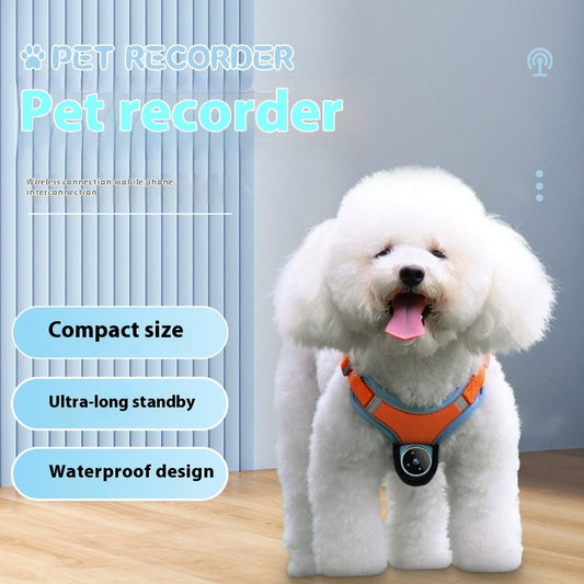 Pet Collar Camera & Tracker – Real-Time Monitoring & Safety Camera for Dogs & Cats | Urban Elans