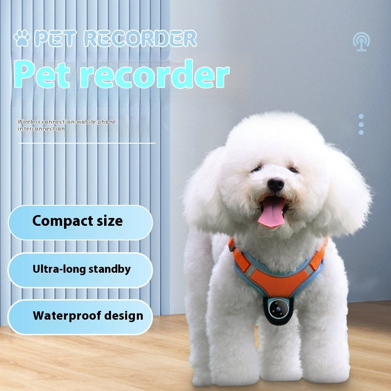 Pet Collar Camera & Tracker – Real-Time Monitoring & Safety Camera for Dogs & Cats | Urban Elans