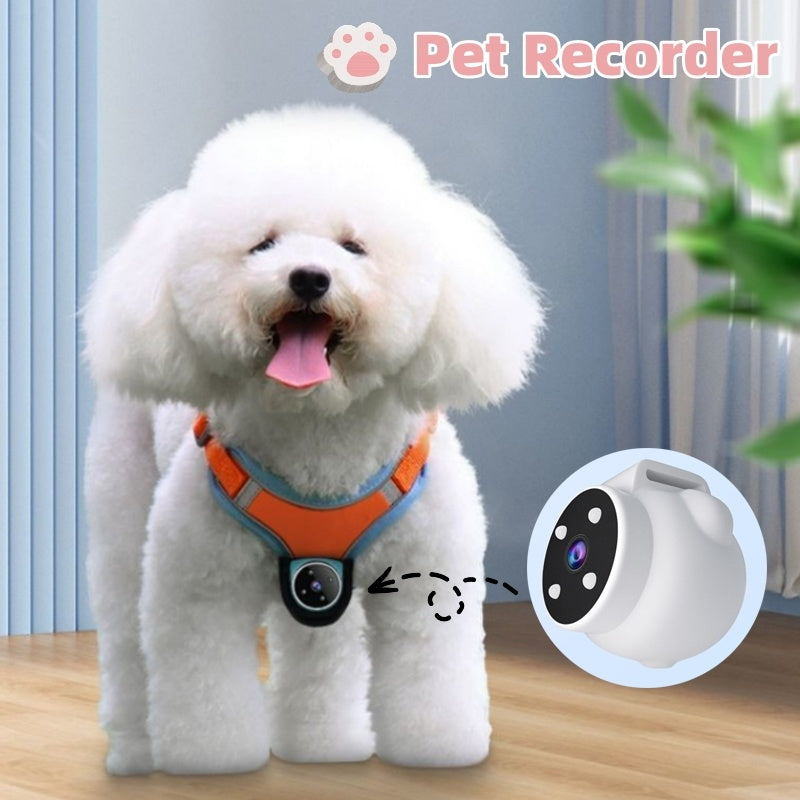 Pet Collar Camera & Tracker – Real-Time Monitoring & Safety Camera for Dogs & Cats | Urban Elans